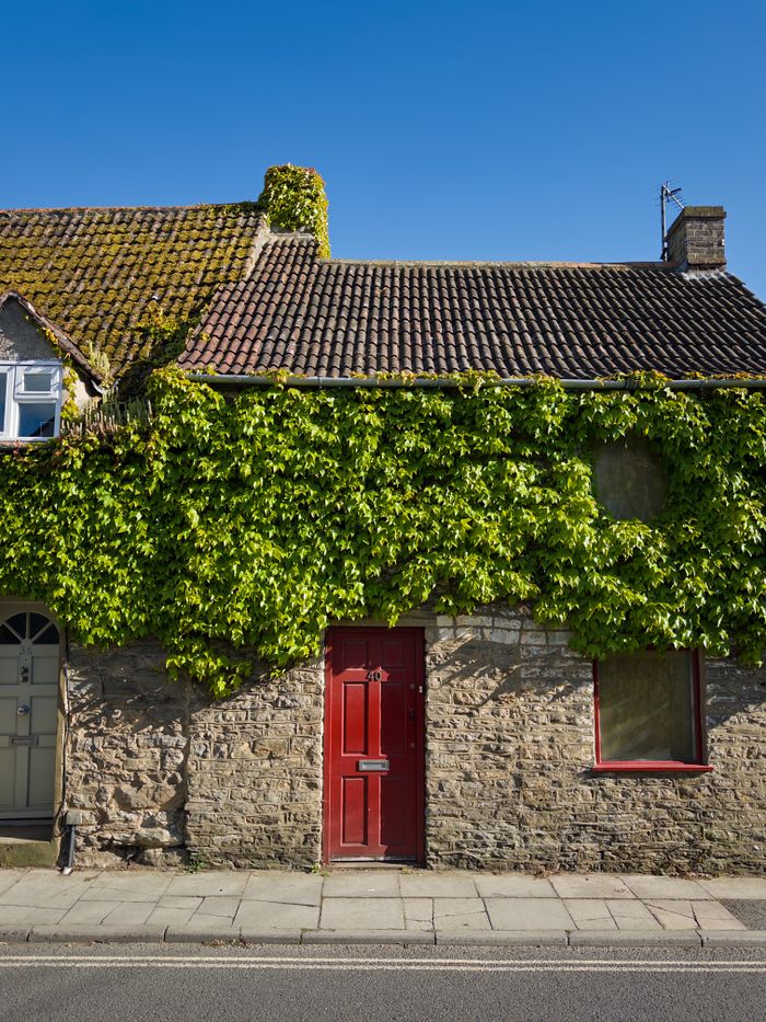 About Picturesque stone cottage with ivy and red door under a clear blue sky in Malmesbury, England.